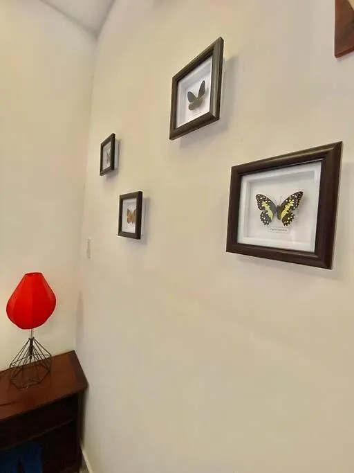 Two Bedroom Apartment 10 Mins From Hoian Old Quarter Hoi An